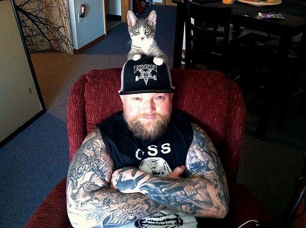 Cute Cats & the Metalheads that Love Them (10)