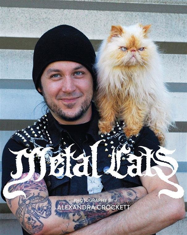 Cute Cats & the Metalheads that Love Them (3)