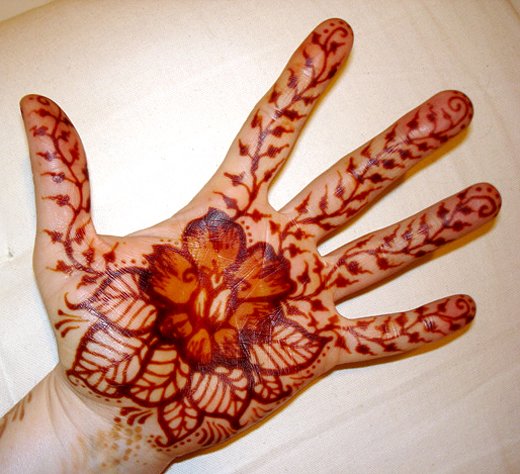 Simple Mehndi Designs For Fingers Inspiration Photos